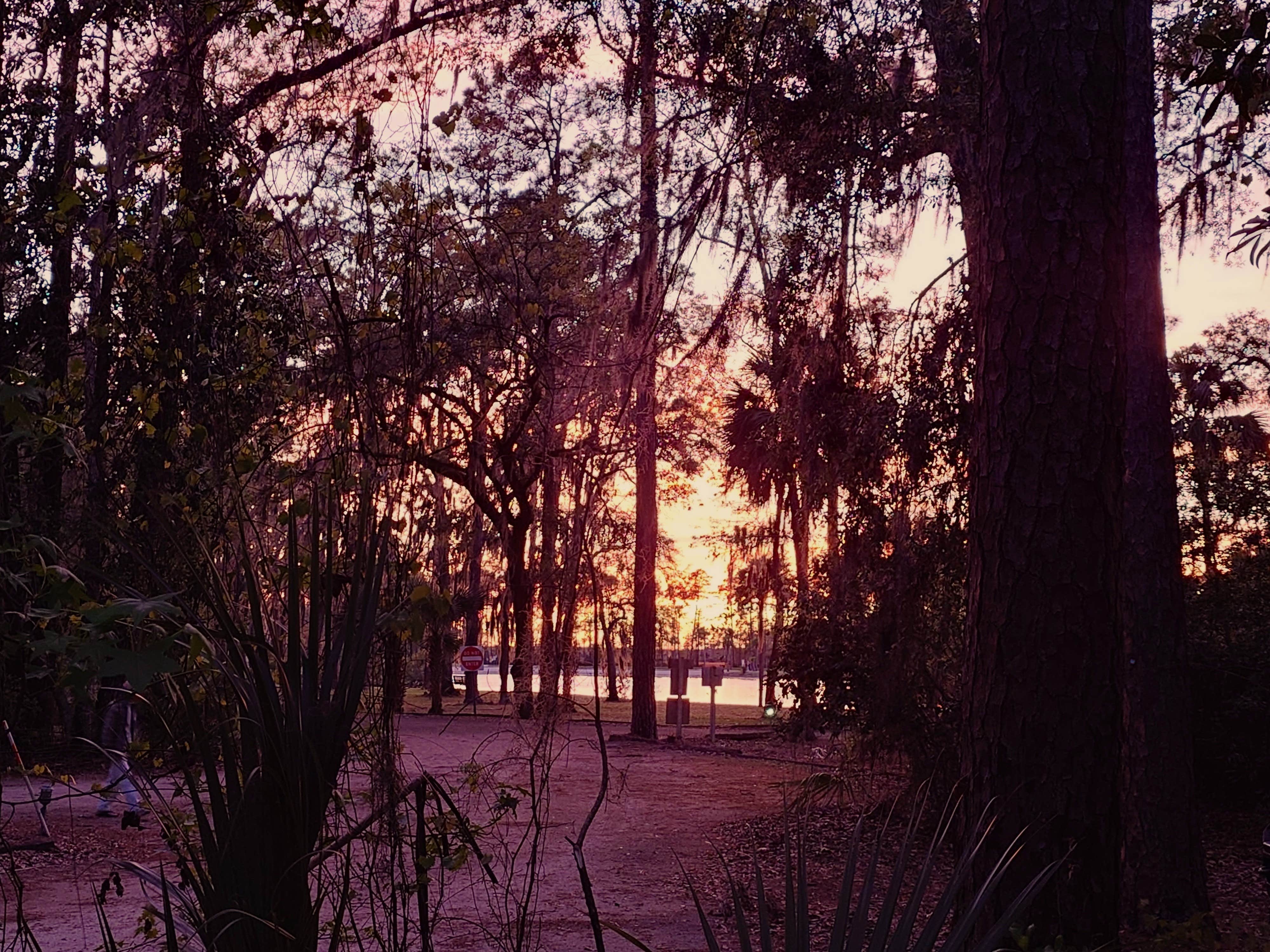 Camper-submitted photo at Blythe Island regional campground Georgia near Brunswick, GA