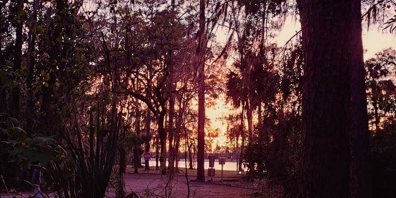 Camper submitted image from Blythe Island regional campground Georgia