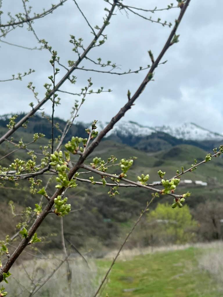 Camper-submitted photo at Swiftwater RV Park near Imnaha, OR