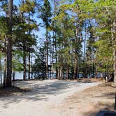 Review photo of Winfield - J Strom Thurmond Lake by Richard A., April 4, 2026