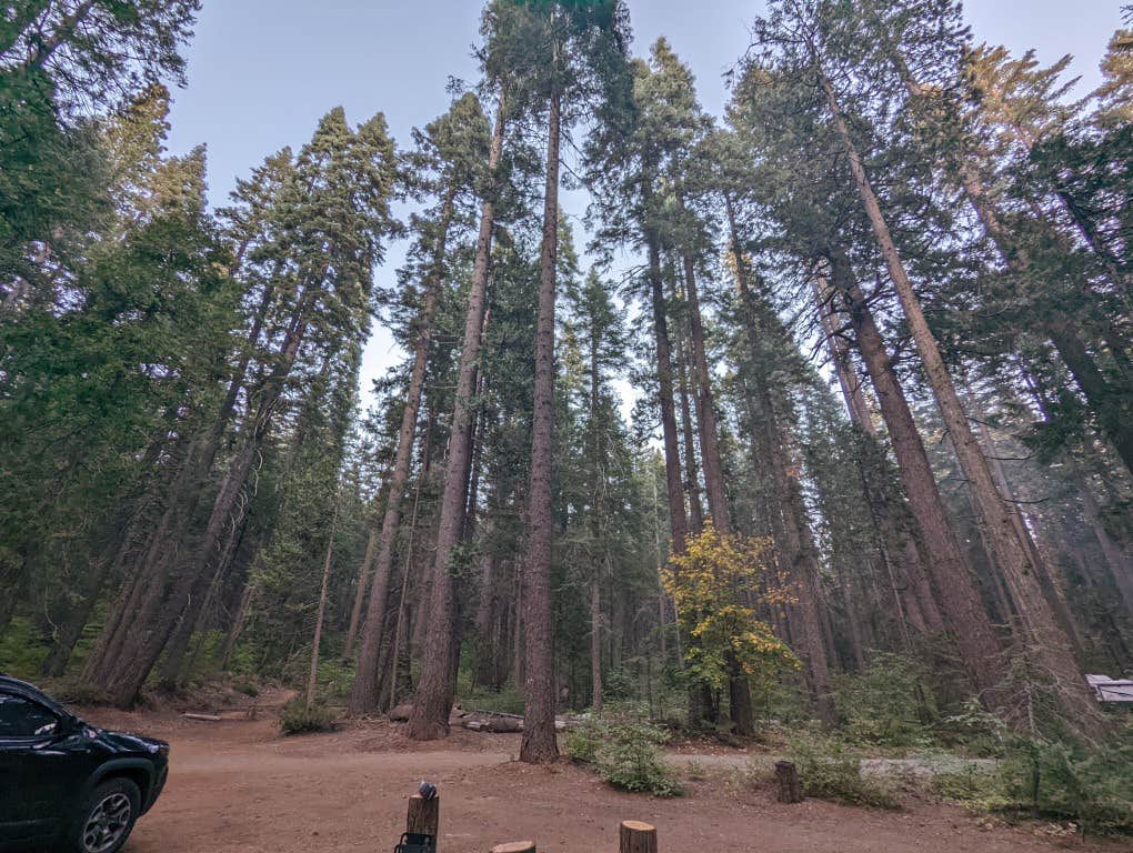 Camper-submitted photo at Skillman Horse Camp near Sierra City, CA