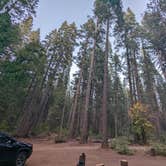 Review photo of Skillman Horse Camp by Hope H., April 5, 2026