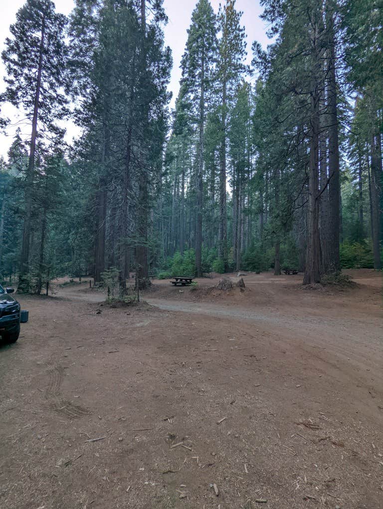 Camper-submitted photo at Skillman Horse Camp near Sierra City, CA