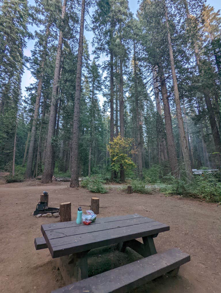 Camping near White Cloud: Skillman Horse Camp, Washington, California