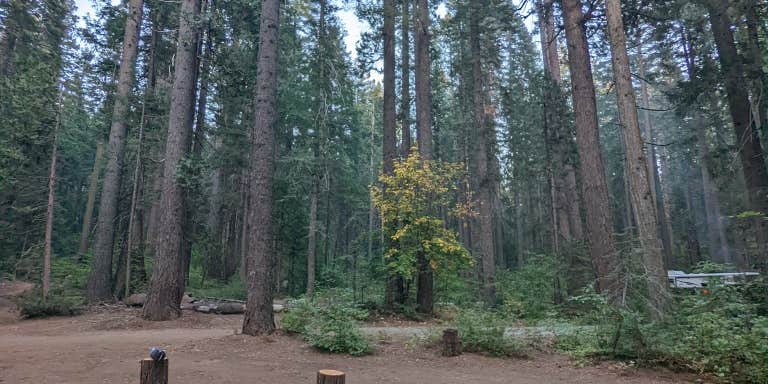 Camper submitted image from Skillman Horse Camp