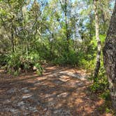 Review photo of Blue Spring State Park Campground by paul Z., April 5, 2026