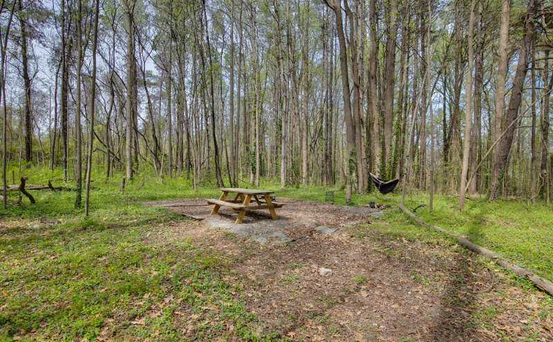 Camper-submitted photo at Moonspell Garden near Mechanicsville, VA