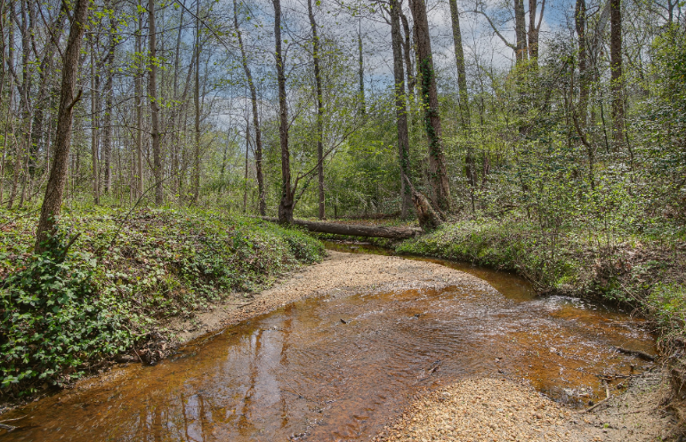 Camper-submitted photo at Moonspell Garden near Mechanicsville, VA