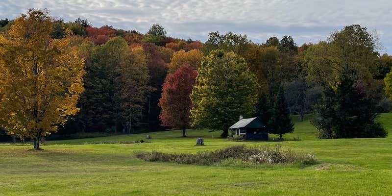 Camper submitted image from Patton’s Pond
