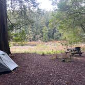 Review photo of Jedediah Smith Redwoods State Park Campground by Scott S., April 5, 2026