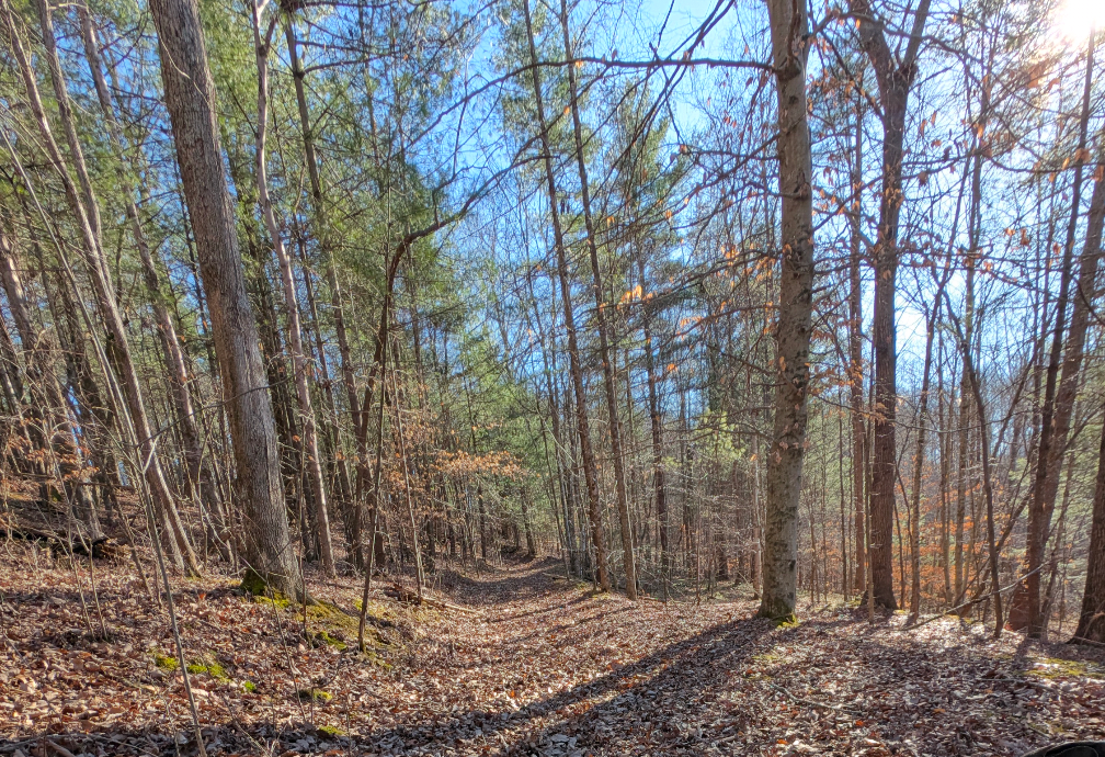 Camping near Roaring Shoals Farm: Gildenrod Gap, Denniston, Kentucky