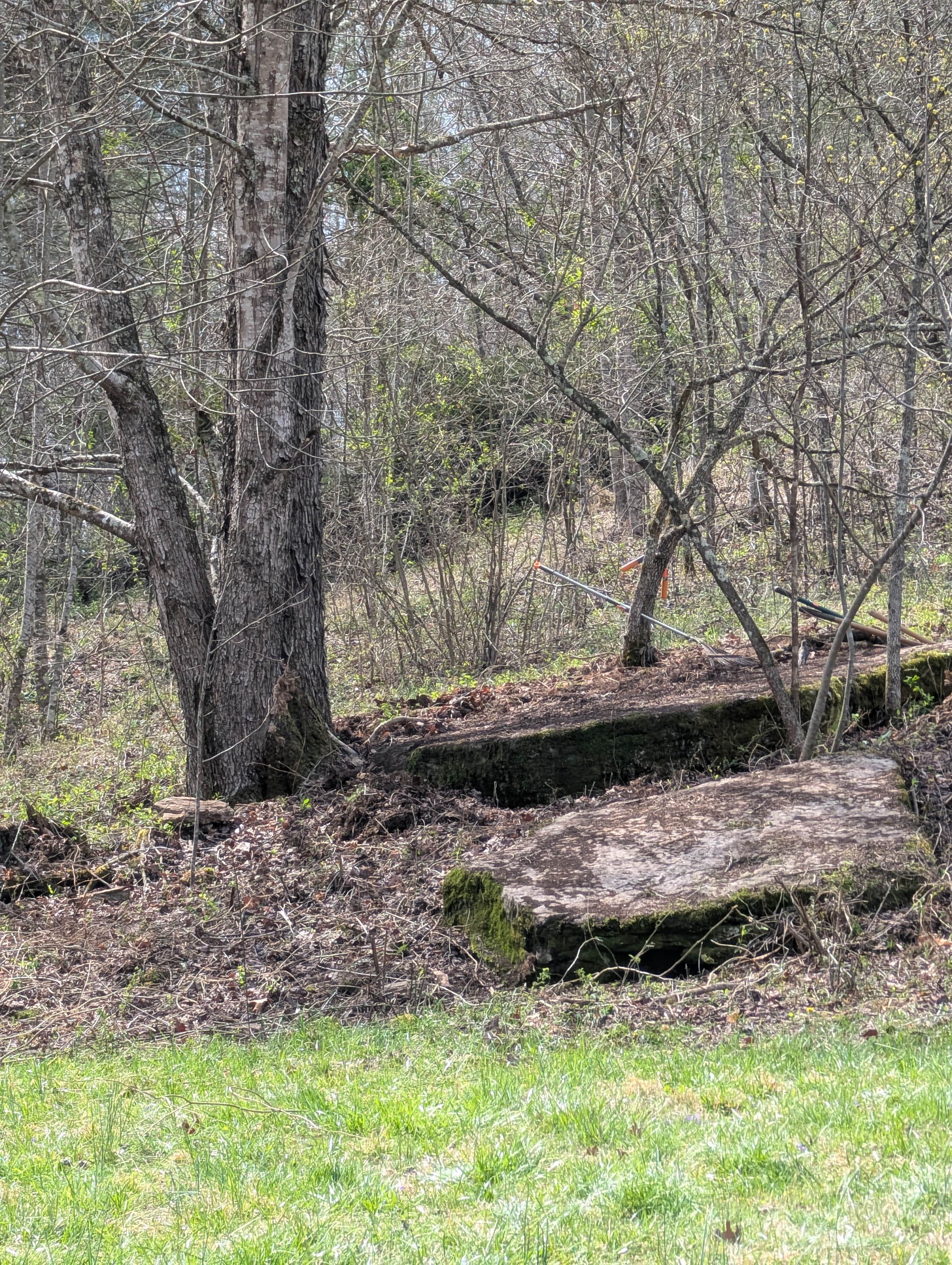 Camper-submitted photo at Goldenrod Gap near Campton, KY