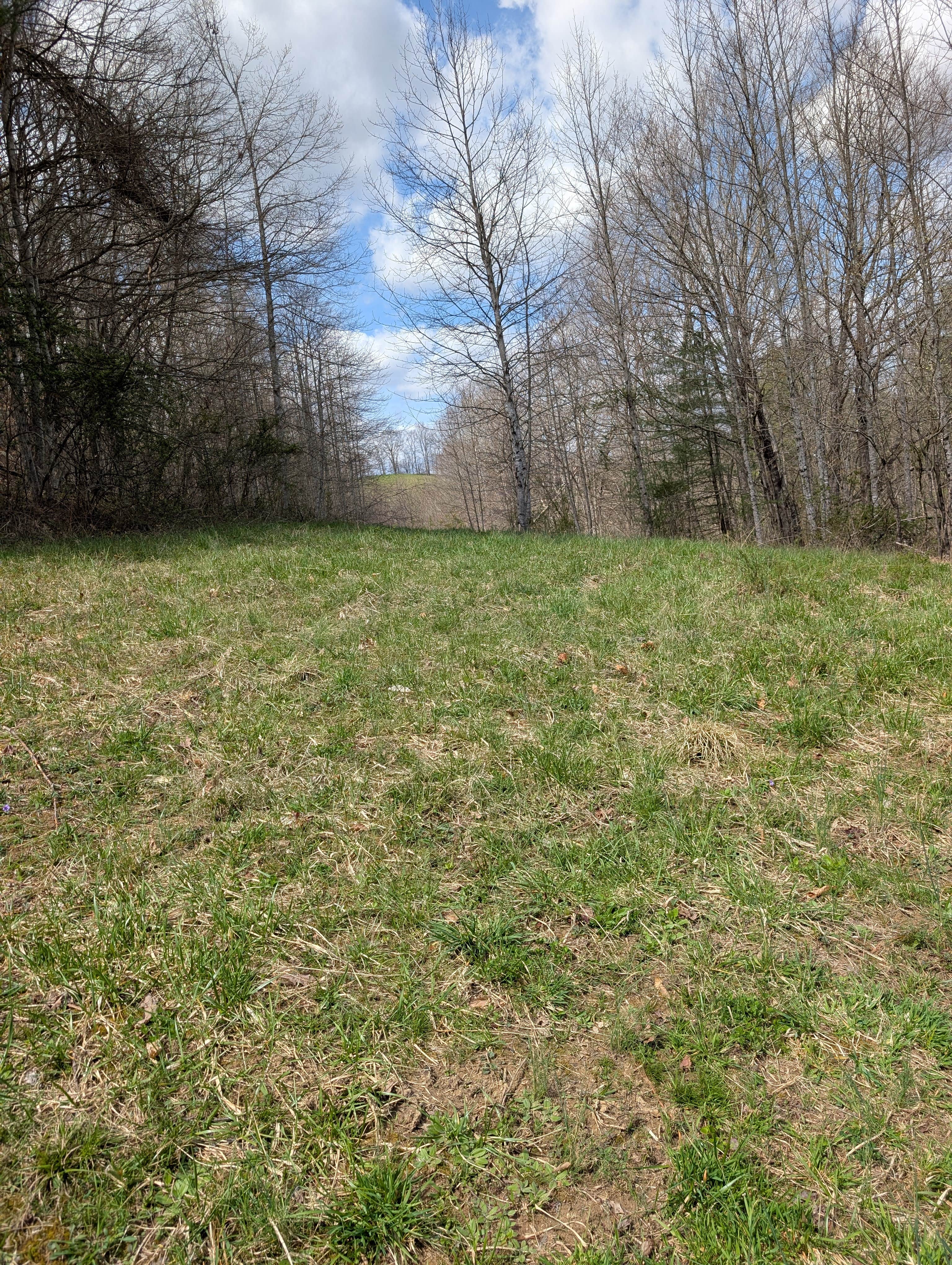 Camper-submitted photo at Goldenrod Gap near Campton, KY