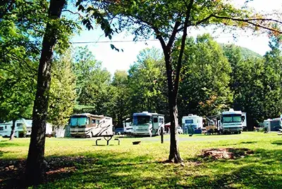 Camper-submitted photo at Twin Streams Campground near Westfield, PA