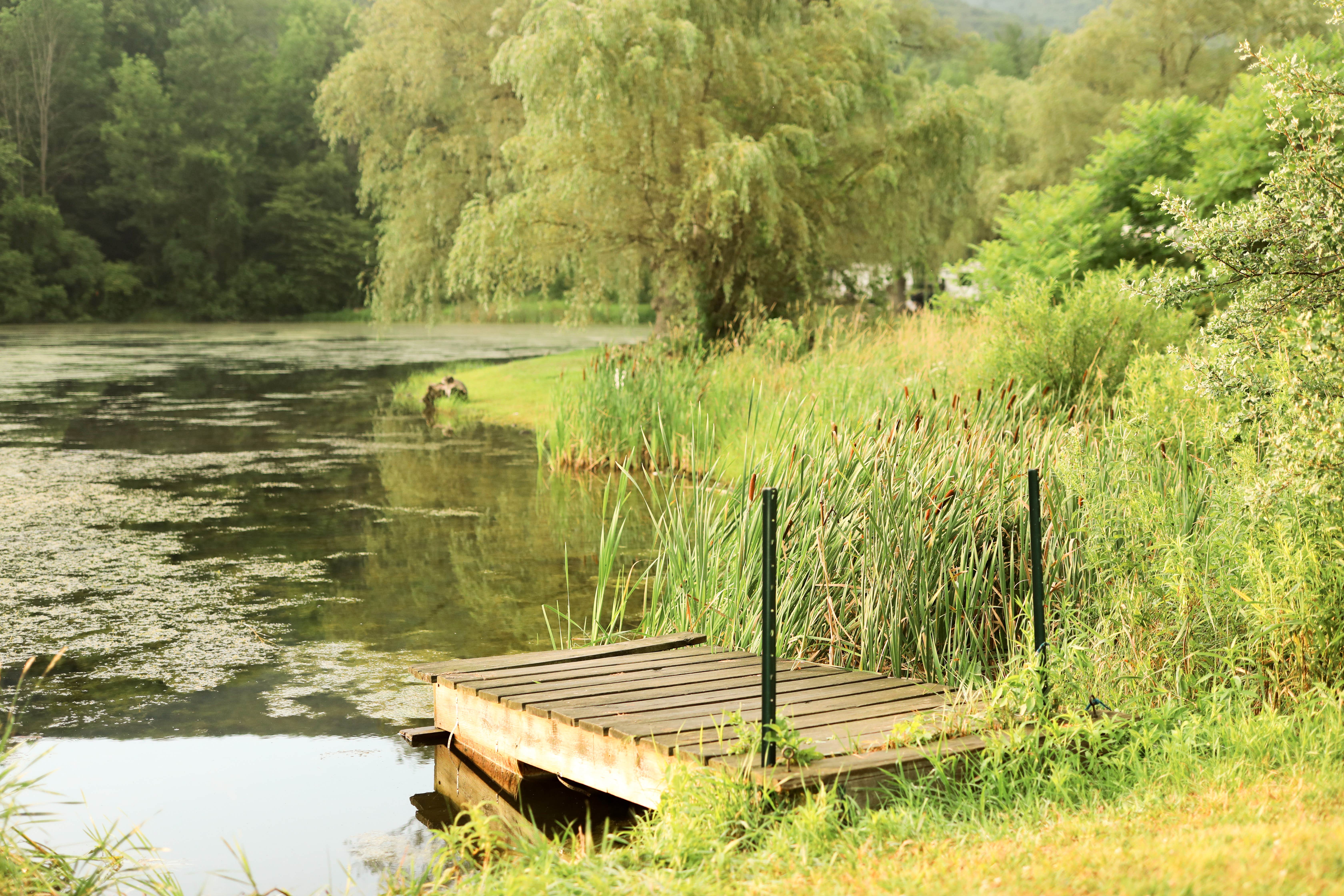 Camper-submitted photo at Route 6 Campground near Westfield, PA