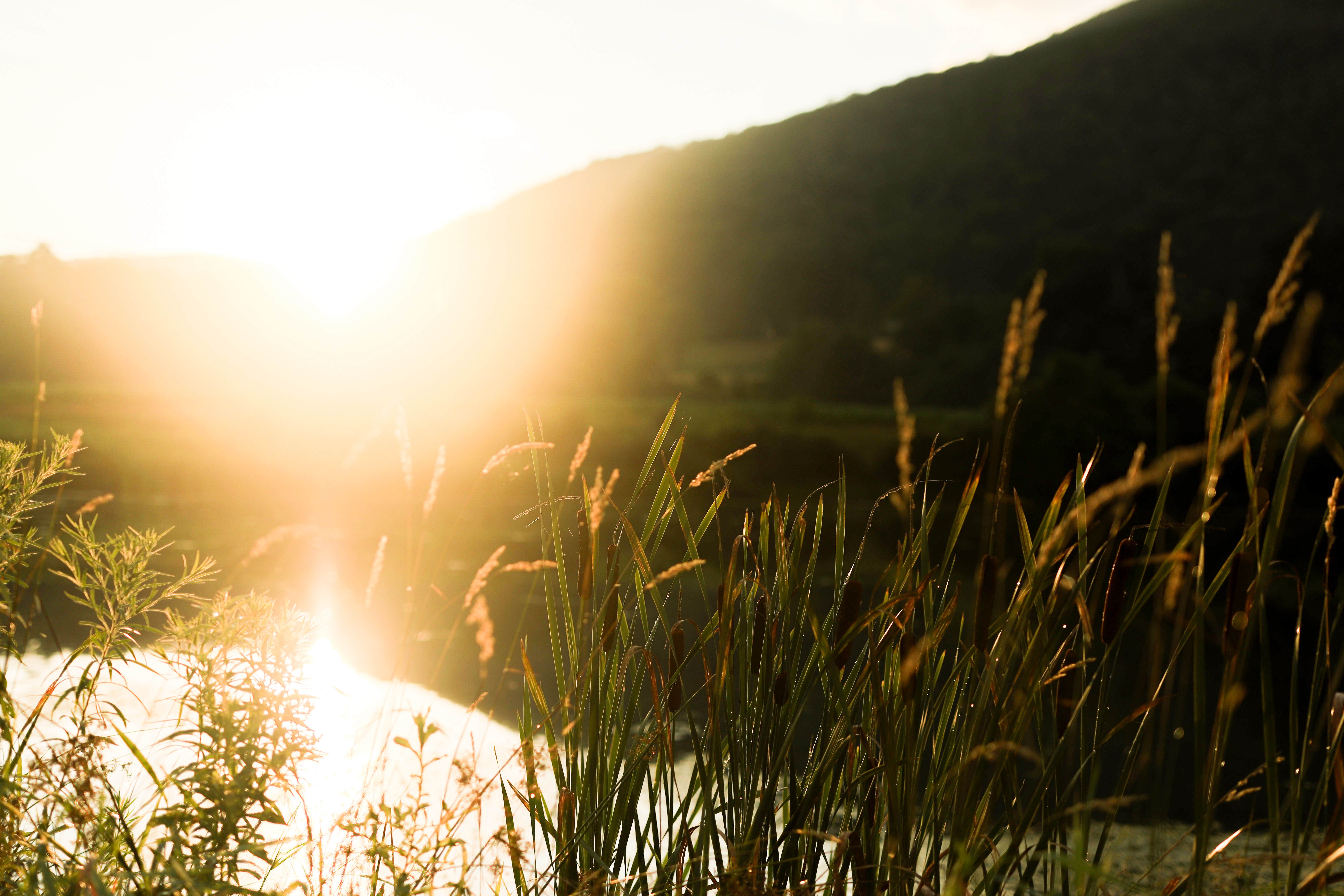 Camper-submitted photo at Route 6 Campground near Westfield, PA