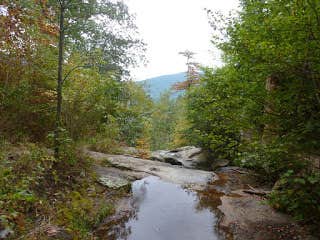 Camper submitted image from Thousand Trails Lynchburg - 3