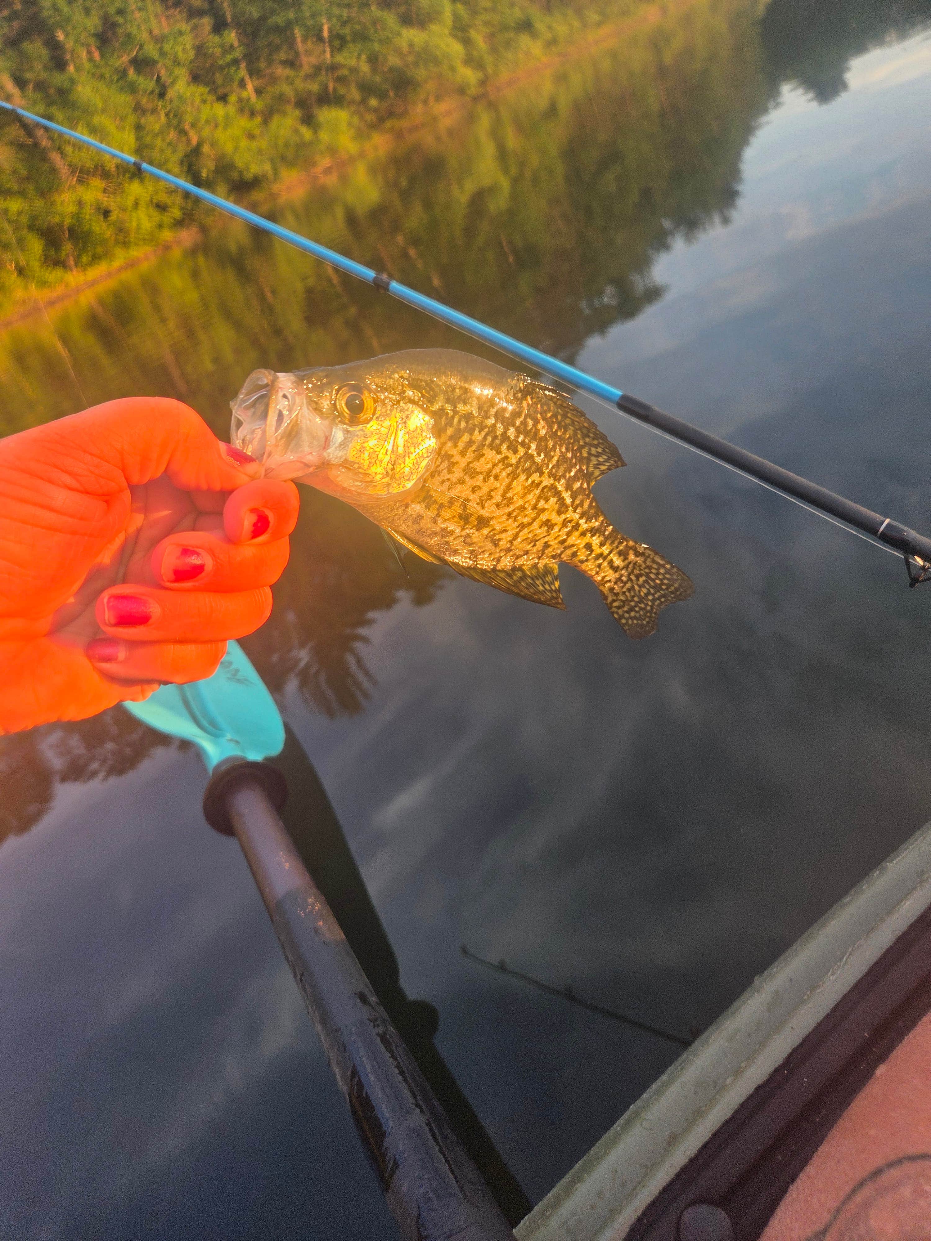 Camper-submitted photo at Moon Lake City Park near Brule, WI