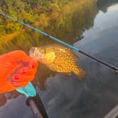 Review photo of Moon Lake City Park by Amanda K., April 8, 2026