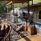 Review photo of Whispering Woods of Texas by Pat D., April 8, 2026