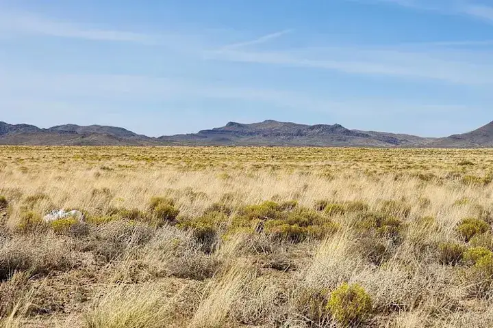 Camping near Labyer Achers: Longhorn Landing, San Luis, Colorado