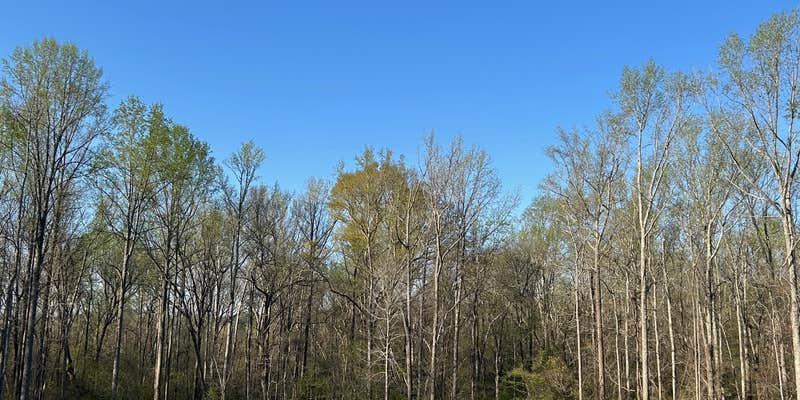 Camper submitted image from Huff Creek RV Park