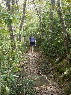 Camper submitted image from Thousand Trails Lynchburg - 3