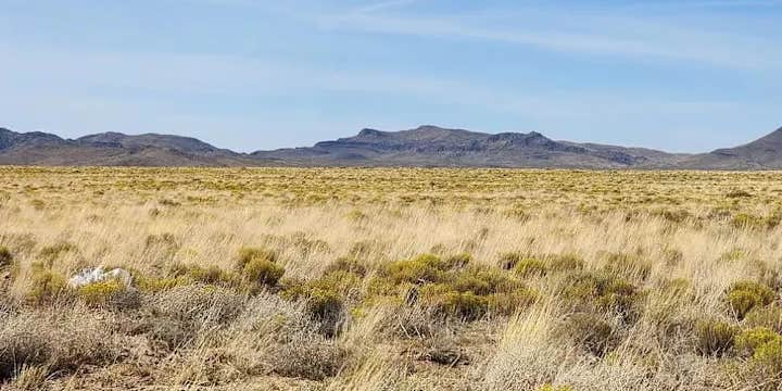 Camper submitted image from Longhorn Landing