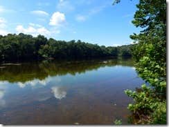 Camper submitted image from Branch Pond — James River State Park - 3