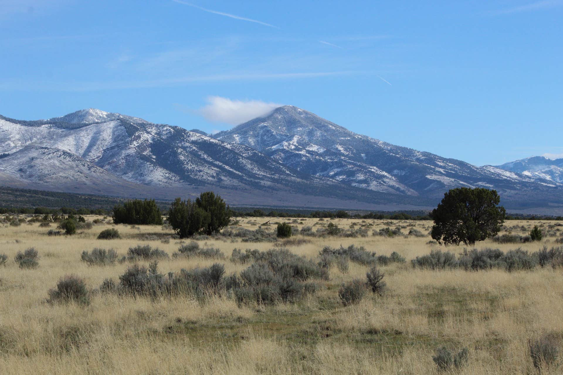 Camper-submitted photo at Fillmore Wildlife Management Area near Oasis, UT
