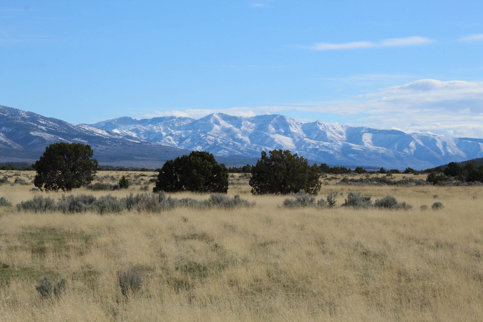 Camper-submitted photo at Fillmore Wildlife Management Area near Oasis, UT