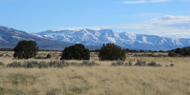 Camper submitted image from Fillmore Wildlife Management Area