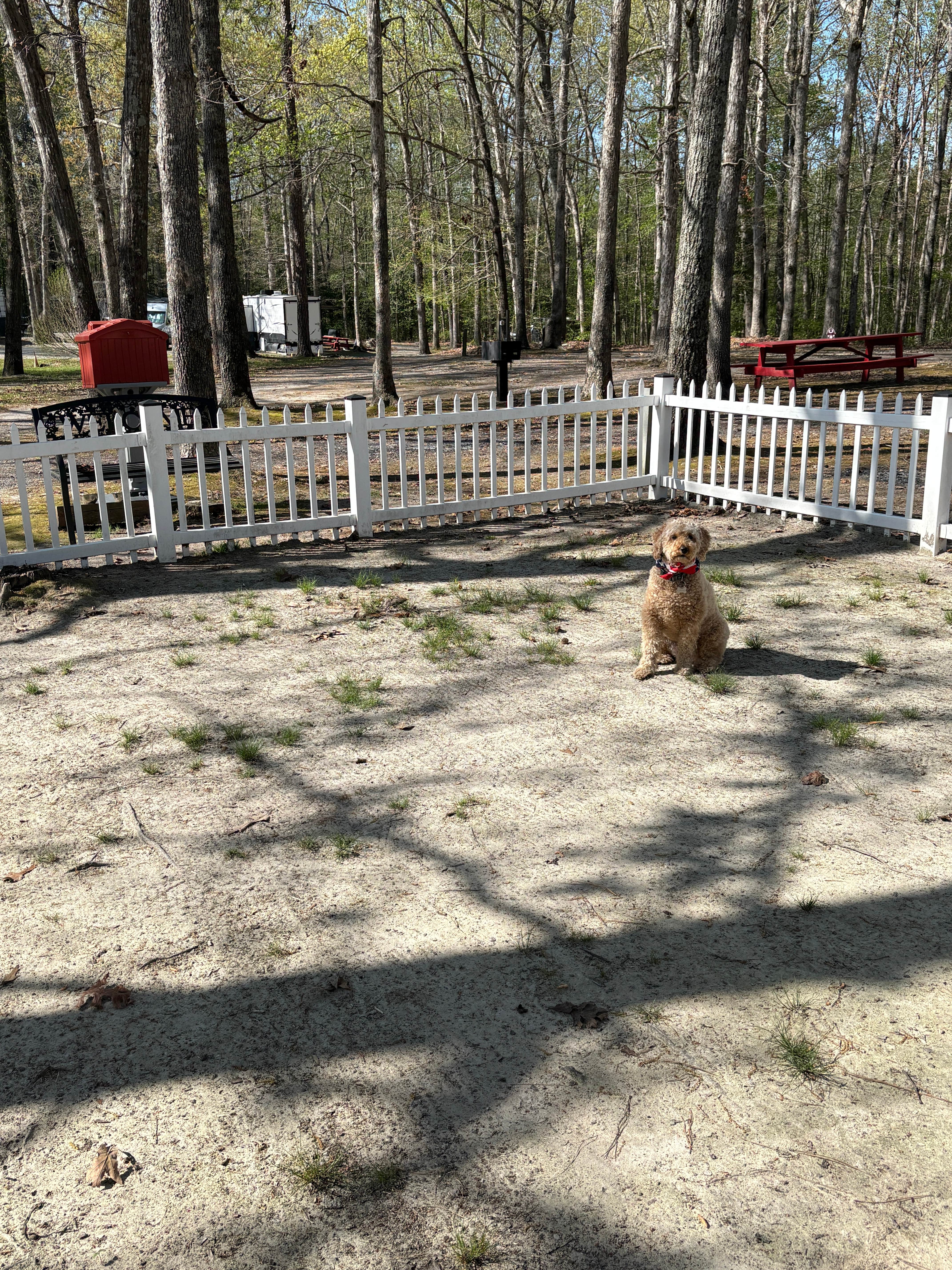 Camper-submitted photo at Camptown Parks Campground near Colonial Heights, VA