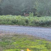Review photo of Bar Harbor Campground by Nicole S., April 11, 2026