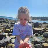 Review photo of Bar Harbor Campground by Nicole S., April 11, 2026