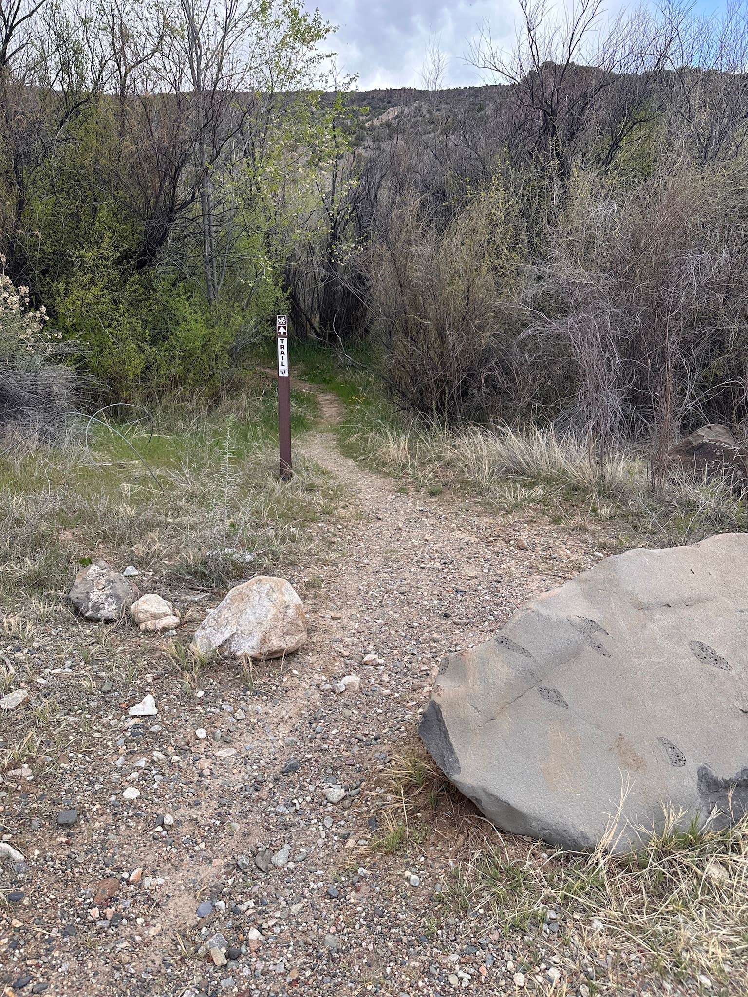 Camper-submitted photo at Pilar Campground near Embudo, NM