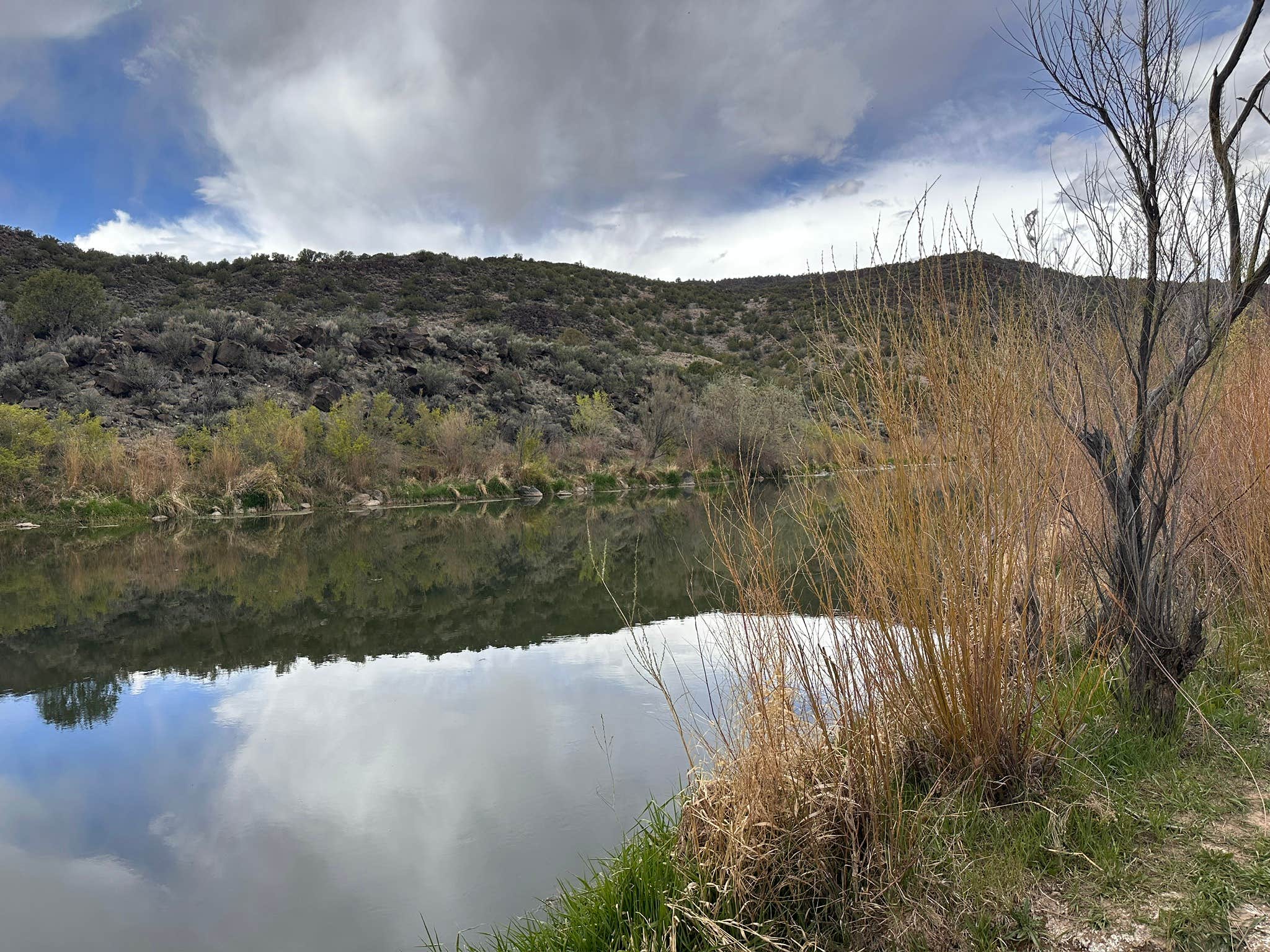 Camper-submitted photo at Pilar Campground near Embudo, NM