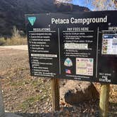 Review photo of Petacas Campground, Orilla Verde Recreation Area by Kathy B., April 11, 2026