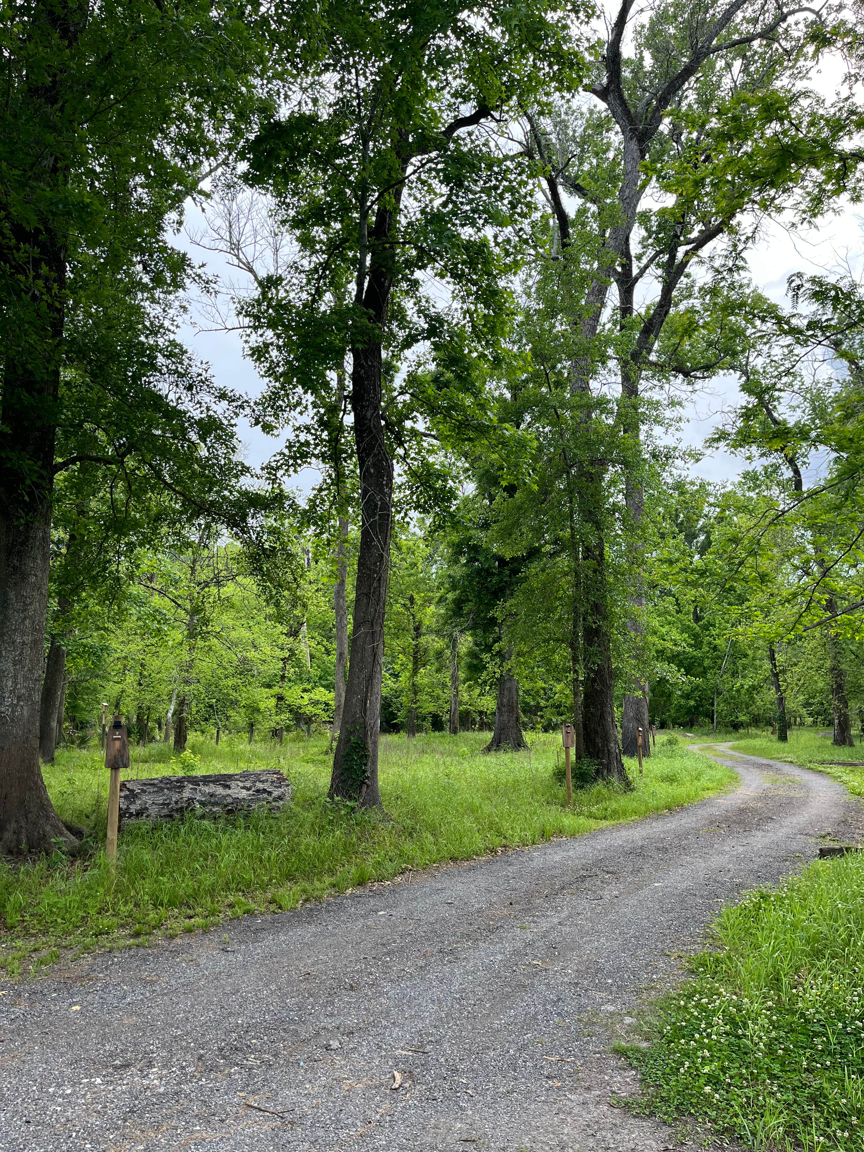 Camper-submitted photo at Iberville Landing near Baton Rouge, LA