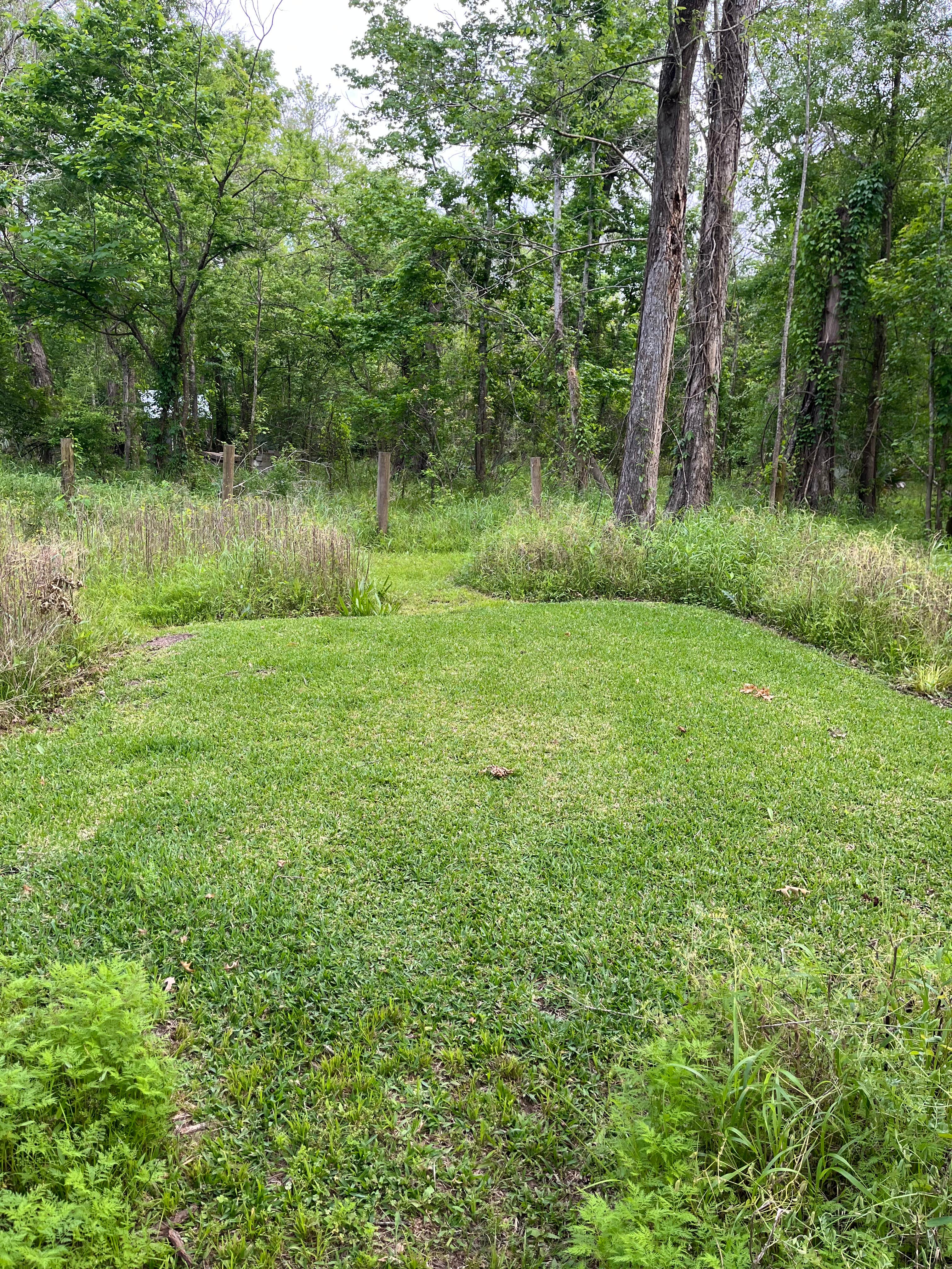Camper-submitted photo at Iberville Landing near Baton Rouge, LA