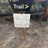 Review photo of Arroyo Hondo Campground by Kathy B., April 11, 2026