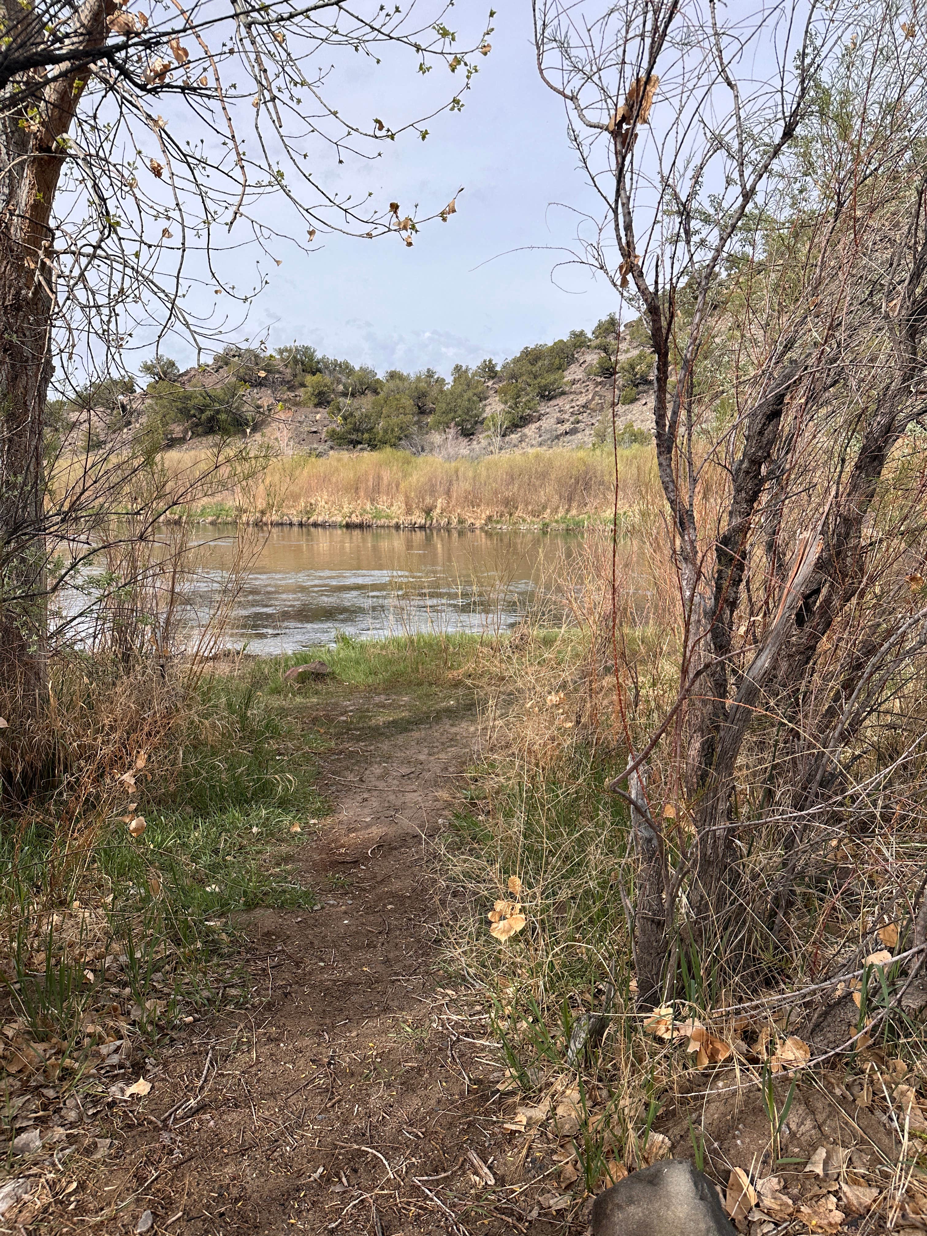 Camper-submitted photo at Arroyo Hondo Campground near Embudo, NM