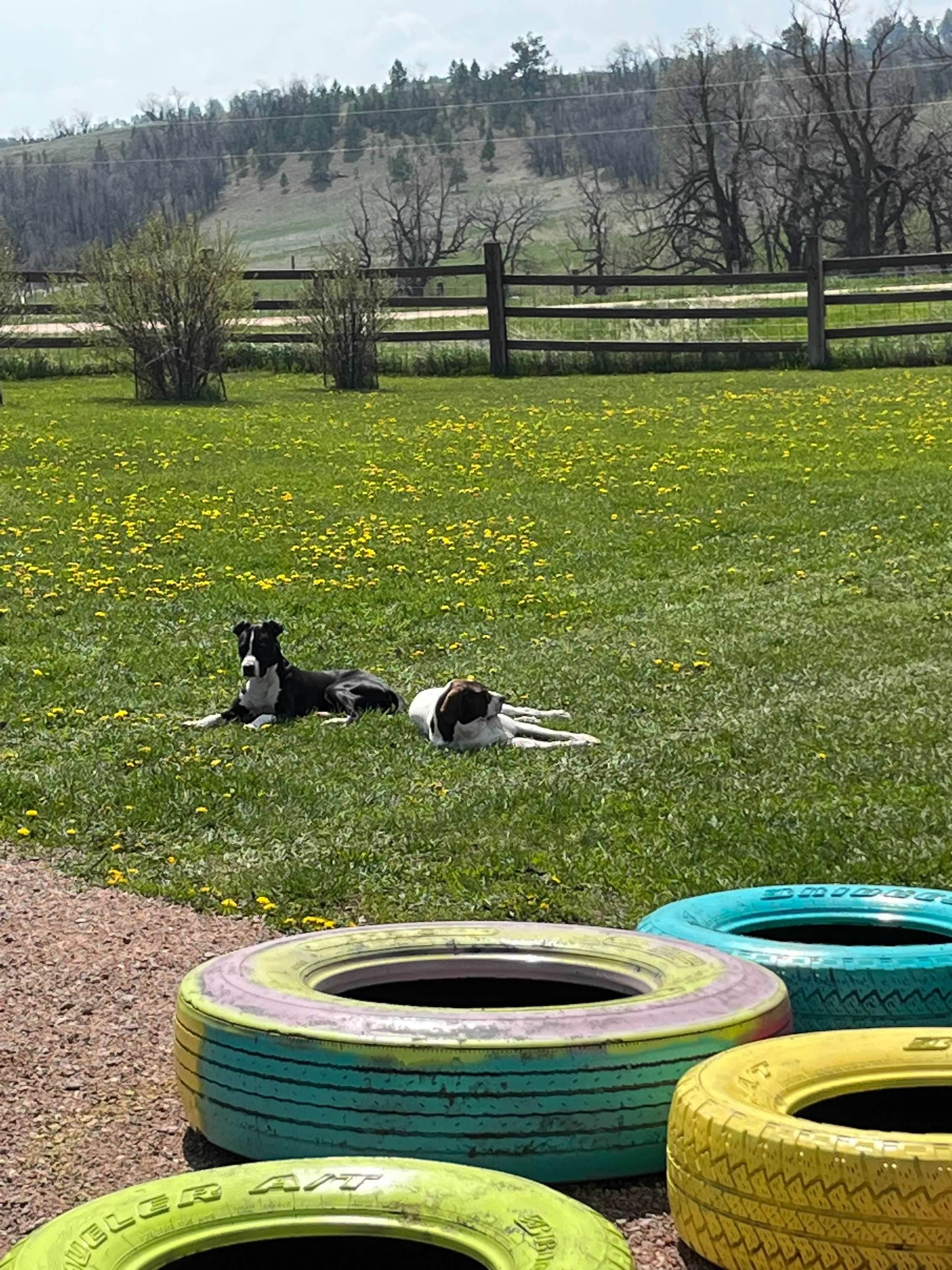 Camper-submitted photo at Hidden Acres Private RV Spot near Belle Fourche, SD