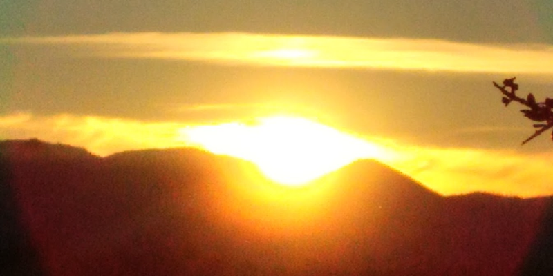 Camper submitted image from Camp Gadson