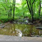 Review photo of Stony Fork Campground by Bran P., September 29, 2016