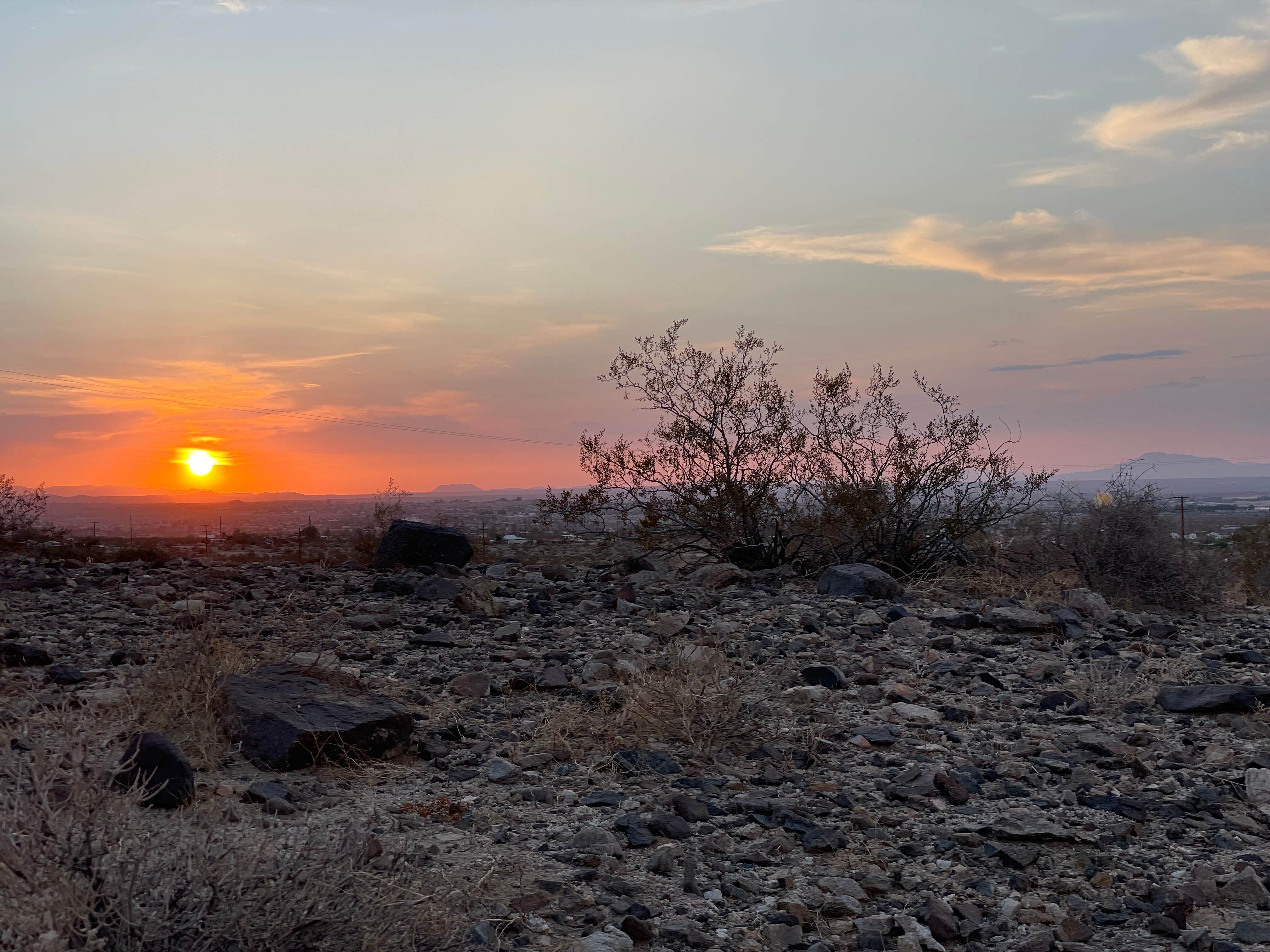 Camping near Twentynine Palms Resort: Desert Gold Camp, Twentynine Palms, California