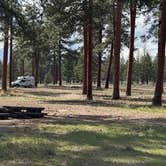 Review photo of Cabin Lake Campground by Mark O., April 15, 2026
