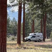 Review photo of Cabin Lake Campground by Mark O., April 15, 2026