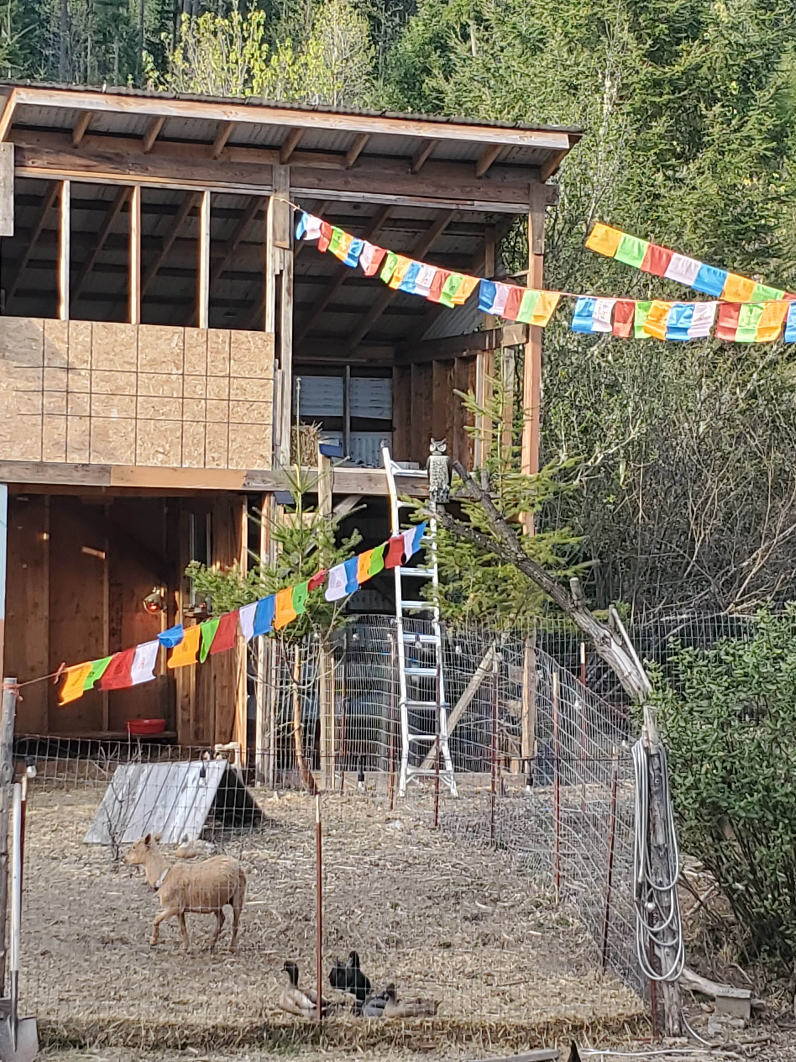 Camping near Panther Creek Campground: Waterfall Sanctuary, Carson, Washington