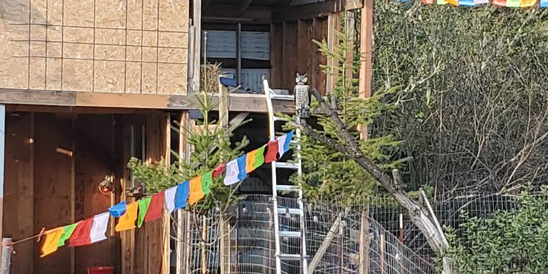 Camper submitted image from Waterfall Sanctuary